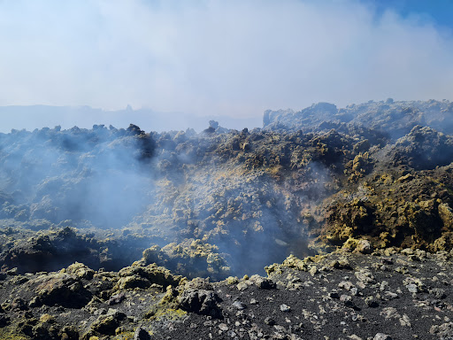 Photo from customer review